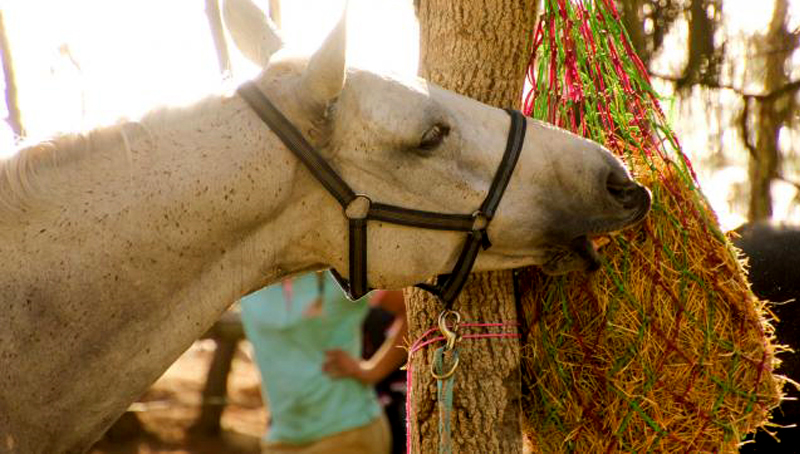 Ejemplo de red mal colocada.