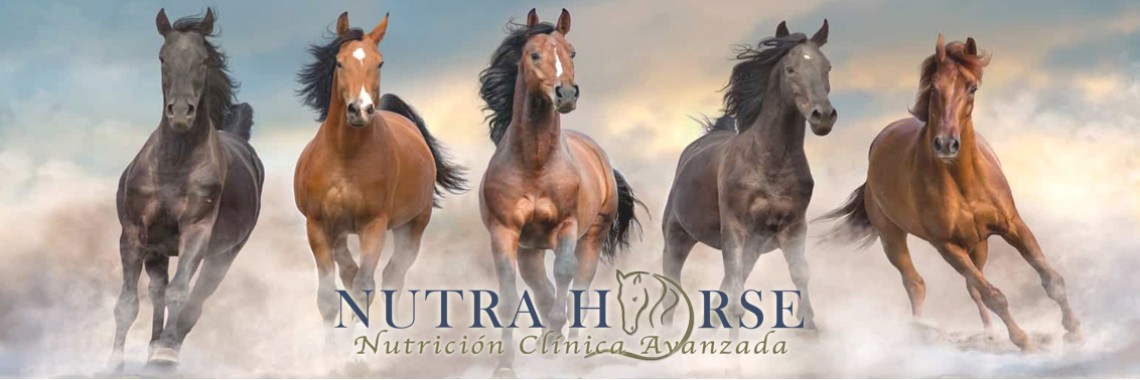 Nutra Horse