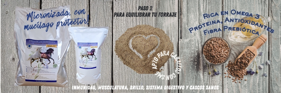 Nutra Horse