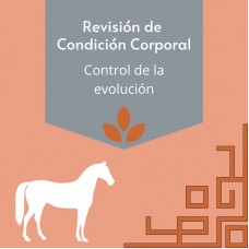 Revisión de Condición Corporal Revisión de Condición Corporal