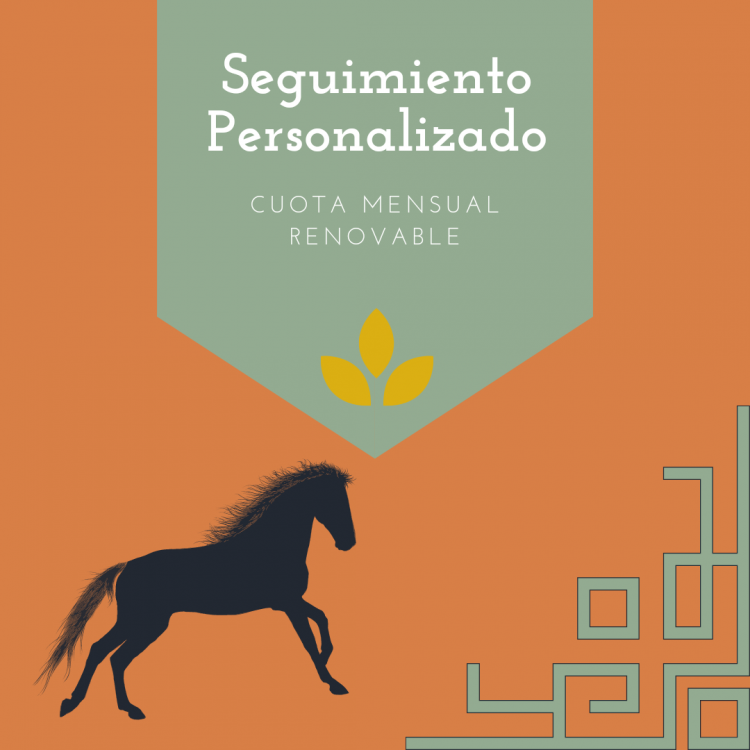 Seguimiento Personalizado Seguimiento Personalizado