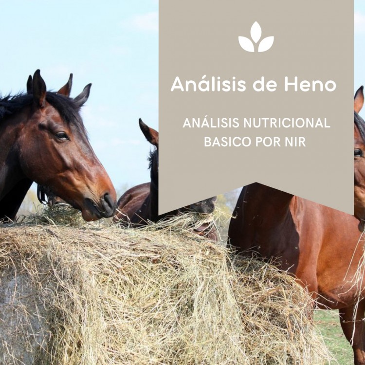 Análisis de Heno Completo por NIR Análisis de Heno Completo por NIR
